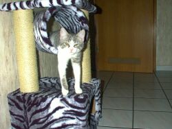 ... ist das schn gemtlich