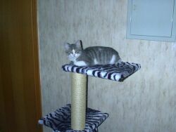 .. puh, endlich wieder Ruhe