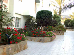 ... vor einer Stella - Villa